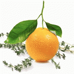 orangethyme